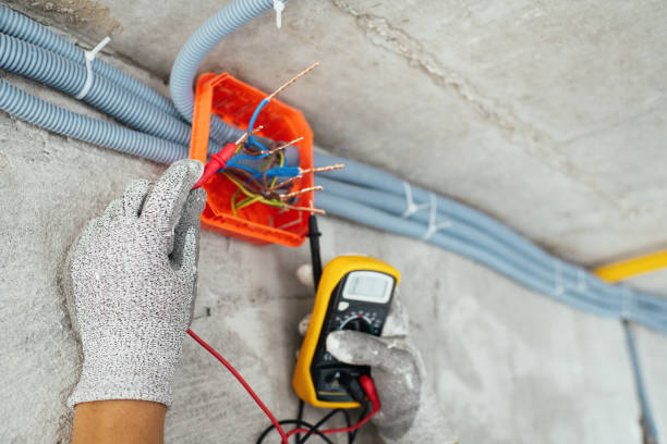 Best Electric Panel Repair  in Lacoste, TX